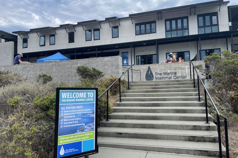 Home  The Marine Mammal Center