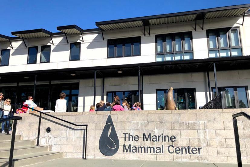A Visit to the Marine Mammal Center | Marin Mommies