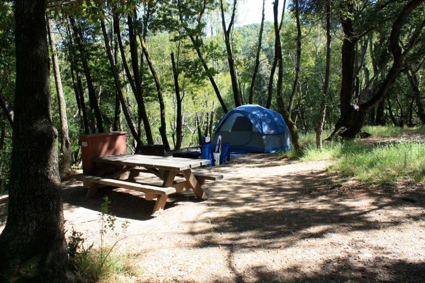 Mt. Tamalpais Camping
