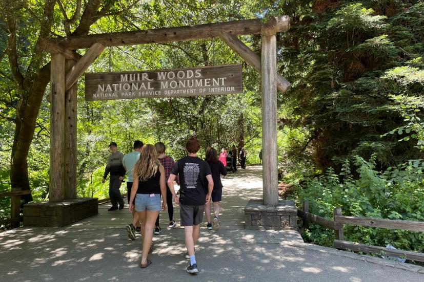 Muir Woods National monument old growth redwoods Mill Valley