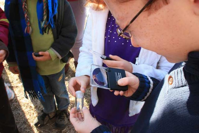 Nature for Kids hikes Marin County Parks