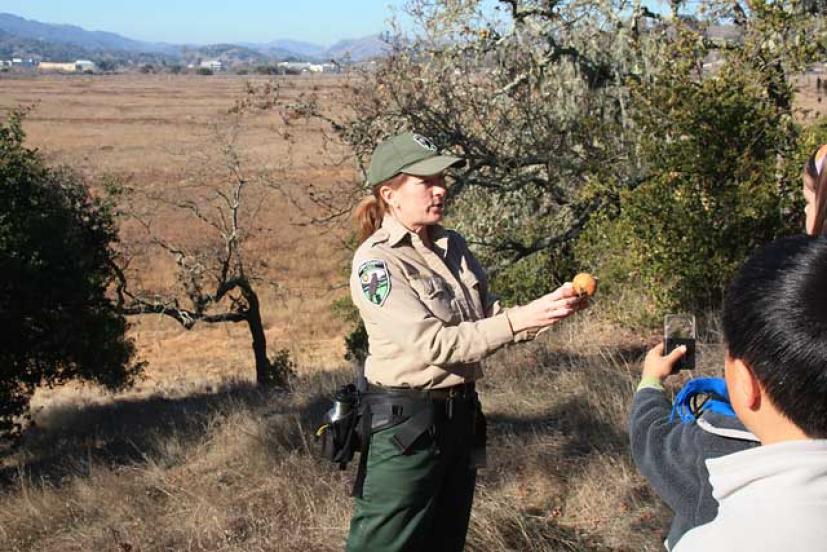 Nature for Kids hikes Marin County Parks