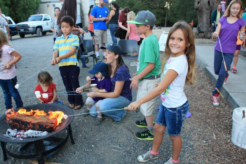 Bat Night Olompali Novato