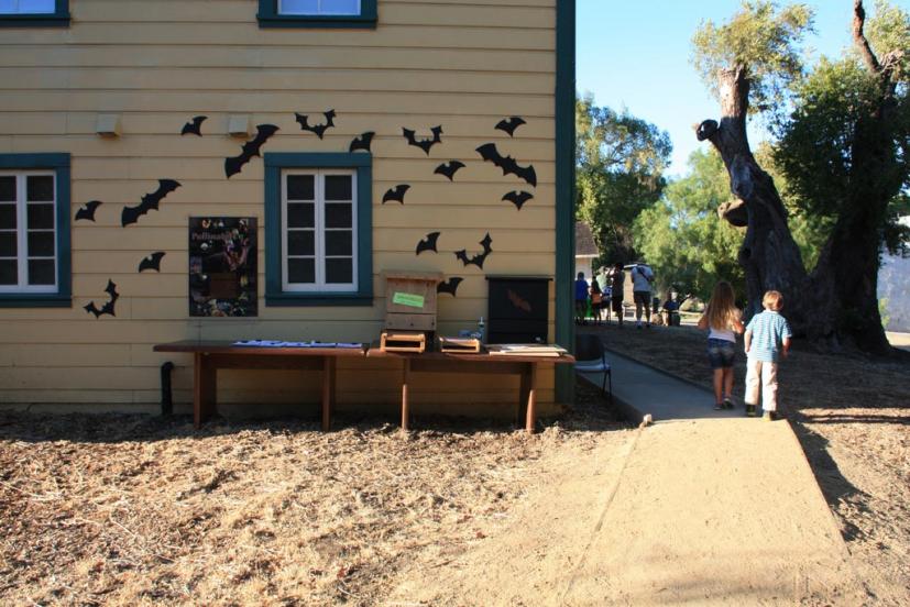 Bat Night Olompali Novato