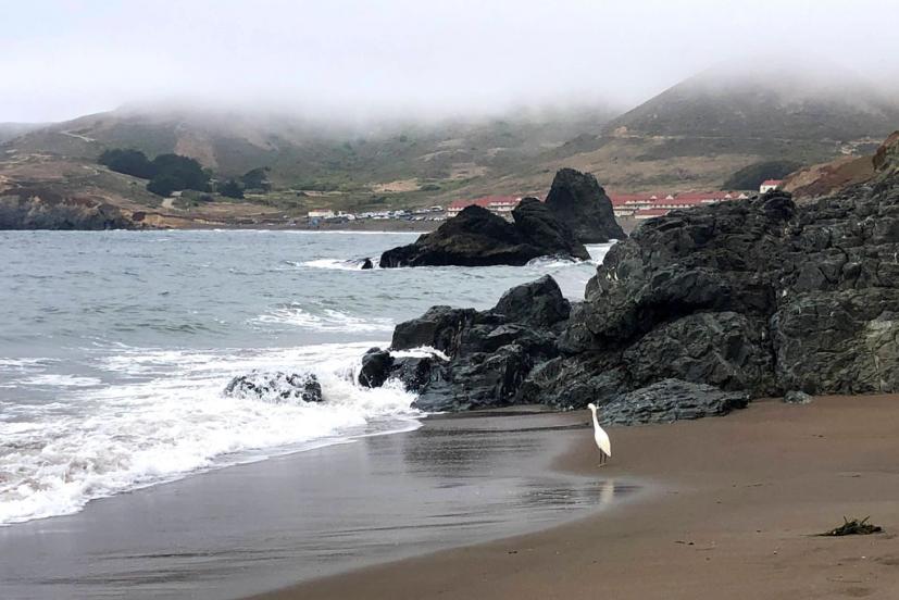Marin Headlands
