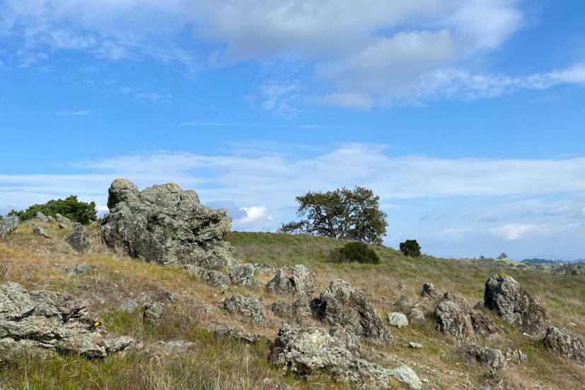 Mount Burdell rock formation