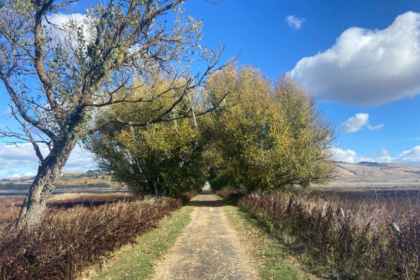 Causeway trail at Tolay Lake Regional Park in Petaluma