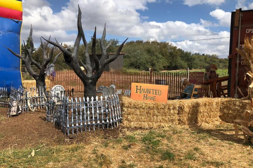 McClellands Dairy Pumpkin Patch