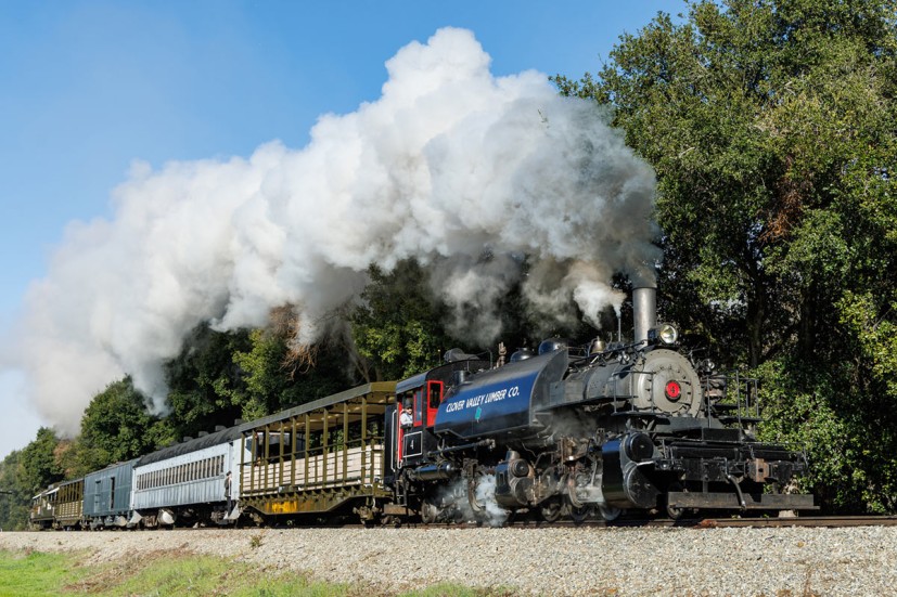 Steam locomotive pulling passenger cars at Niles Canyon Railway