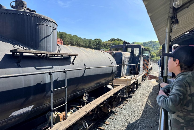 Boy looking out of train car at other train cars and locomotives Niles Canyon Railway