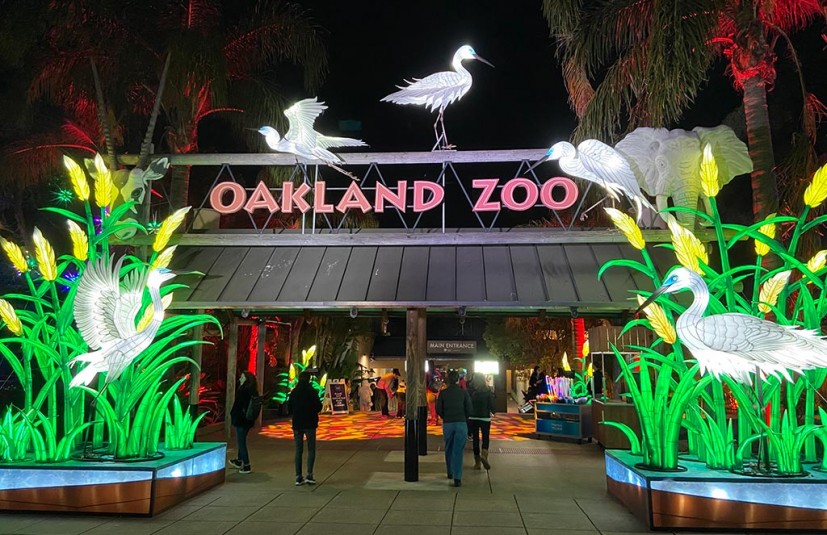 Glowfari Oakland Zoo