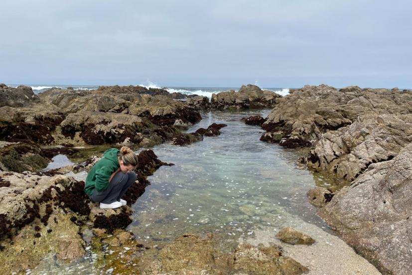 Pacific Grove California