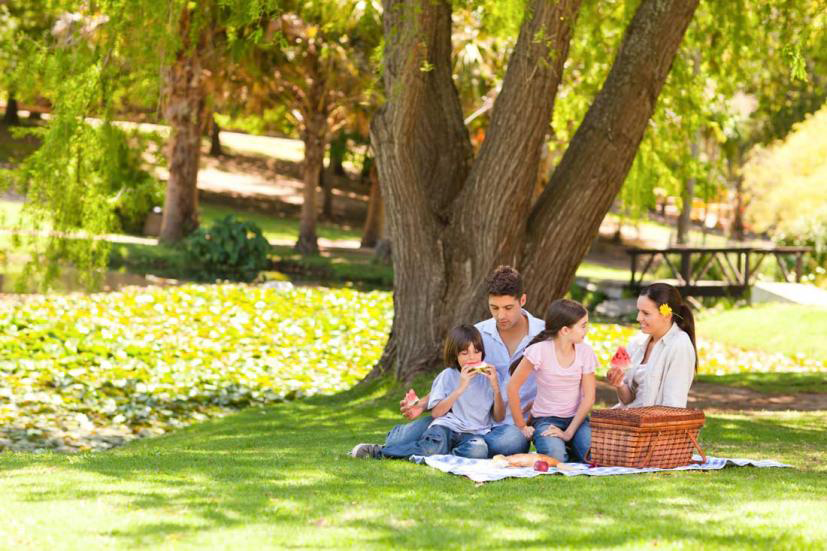 Awesome Spots For a Mother's Day Picnic in Marin County