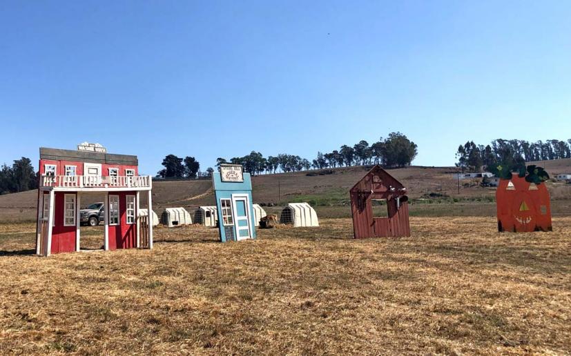 Peter Pumpkin Patch town