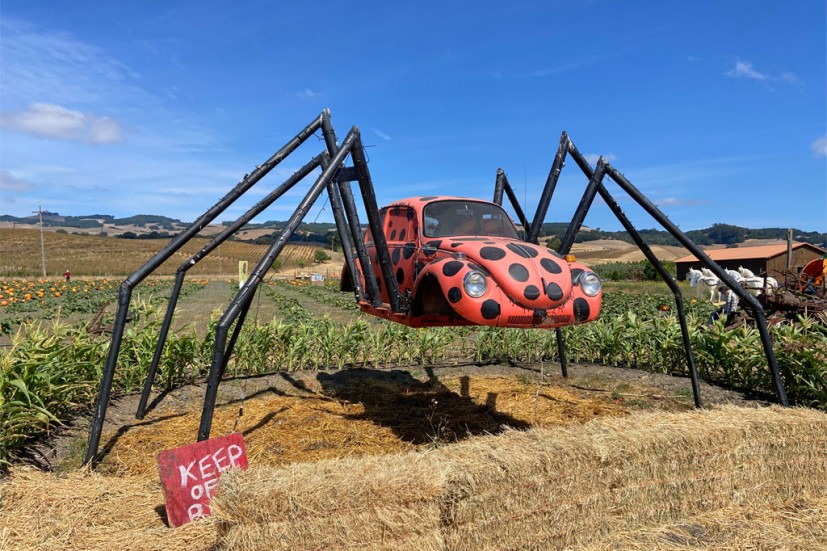 応援グッズ Pavin Spyderco Para 3 Lightweight Brown FRN Handles & 15V Sprint Run C223PBN