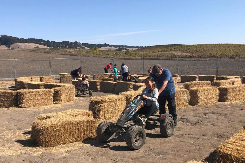 Pronzini Pumpkin Patch