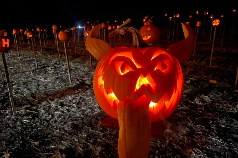 Pumpkins on pikes
