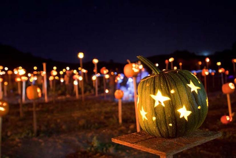 Pumpkins on pikes