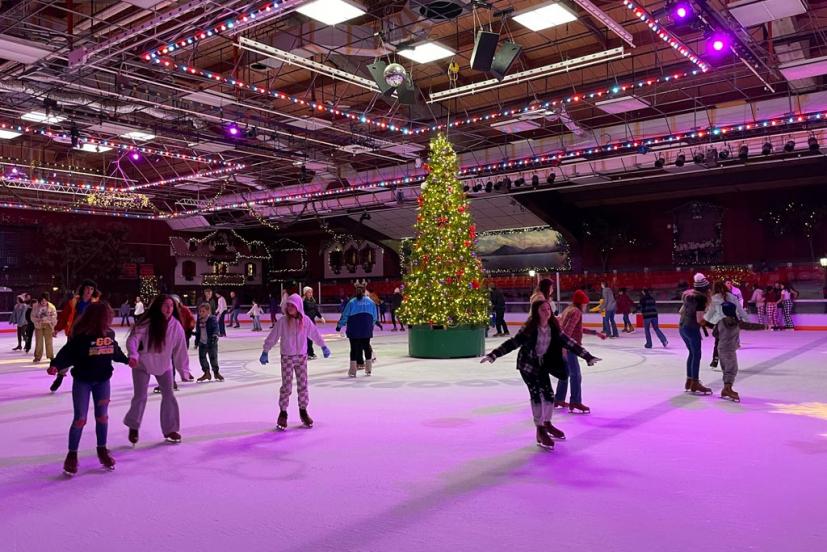 Snoopy's Home Ice Santa Rosa