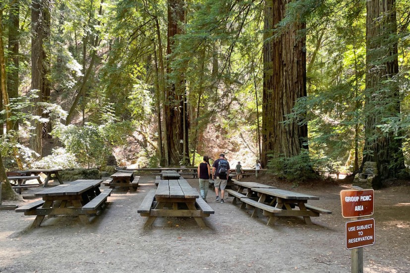 Armstrong Redwoods