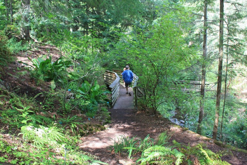 Bridge with people on it in lush garden