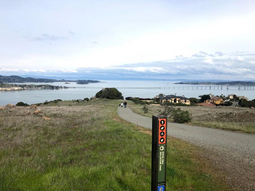 Spectacular Views And Spring Wildflowers Await At Ring Mountain Marin Mommies