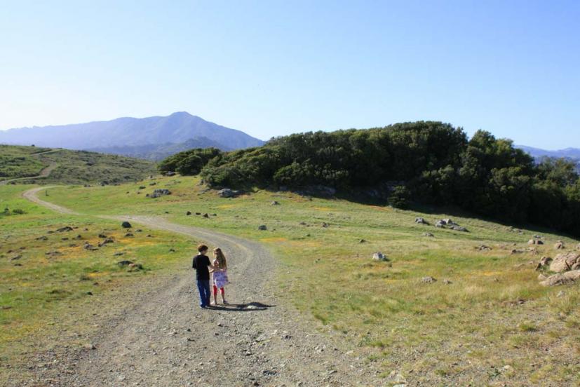 Ring Mountain Preserve Tiburon