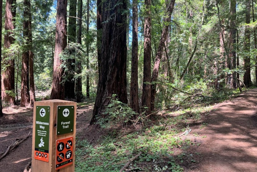 Trail marker at Roy's Redwoods Preserve San Geronimo Valley