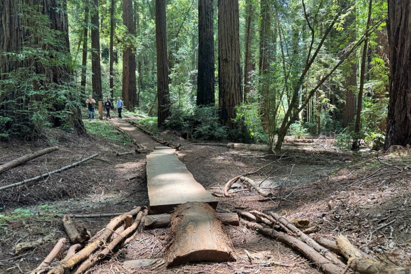 Wilderness Way adventure trail at Roy's Redwoods Preserve San Geronimo Valley