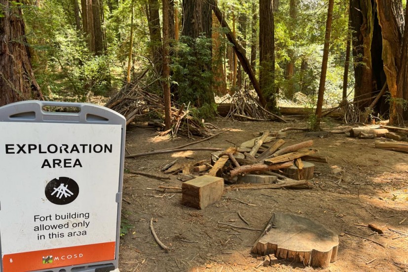 Exploration Area with tree branch forts at Roy's Redwoods Preserve San Geronimo Valley