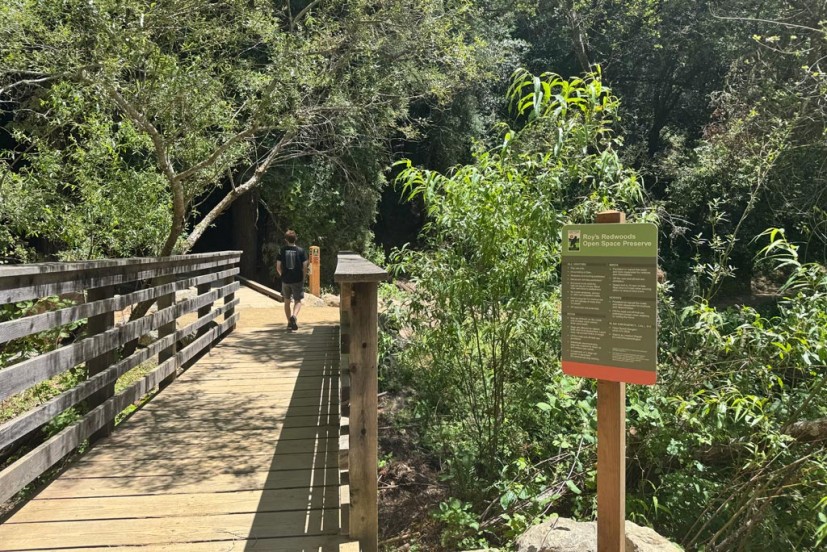 Boardwalk trail and sign at Roy's Redwoods Preserve San Geronimo Valley