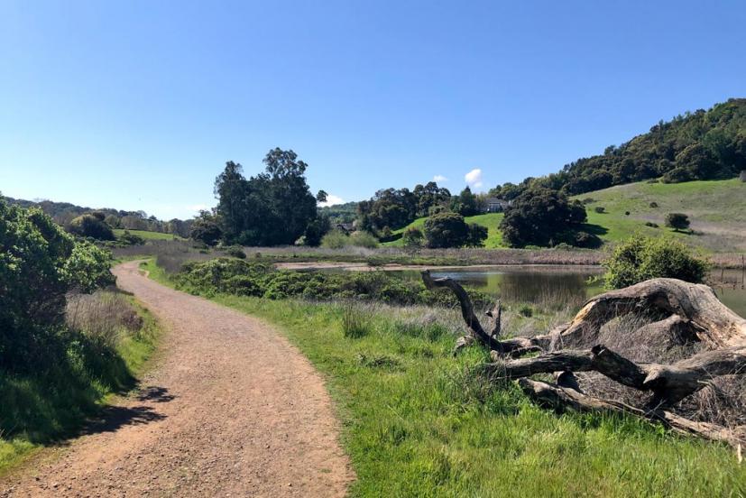 Rush Creek Open Space Preserve