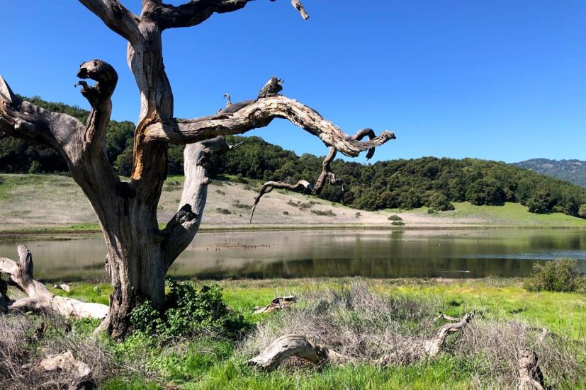 Rush Creek Open Space Preserve