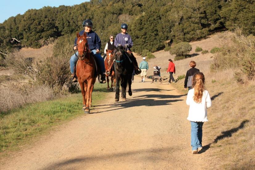 Rush Creek Preserve Novato