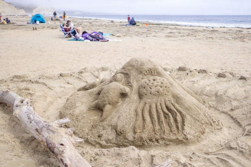 Sand sculpture contest point reyes drakes beach