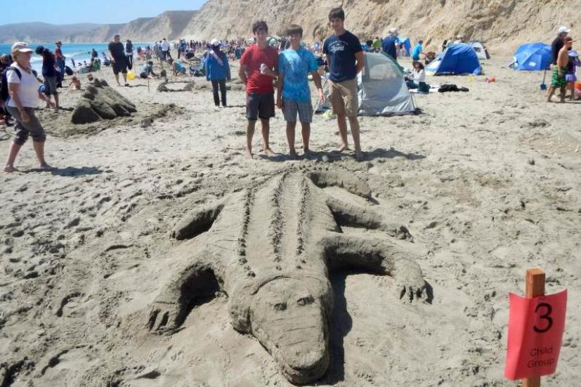 Point Reyes Sand Sculpture Contest Drakes Beach