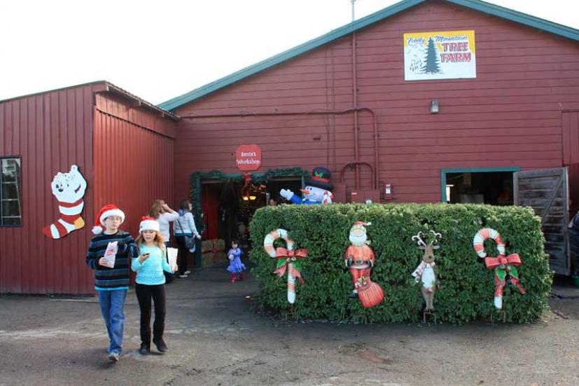 Frosty Mountain Christmas Tree Farm Sebastopol