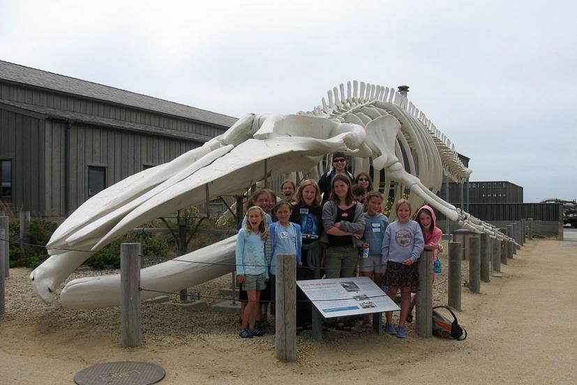 Seymour Marine Center UC Santa Cruz