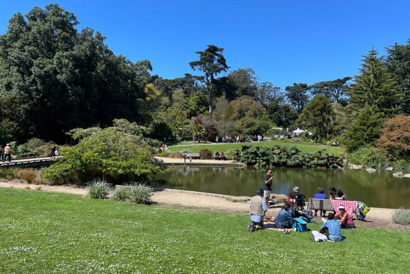 San Francisco Botanical Garden lawn and pond with trees