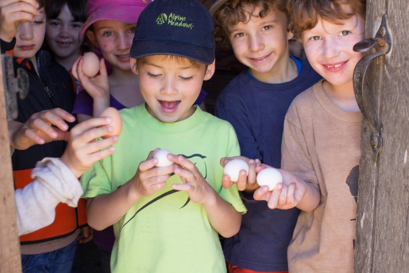 Kids holding eggs at slide ranch