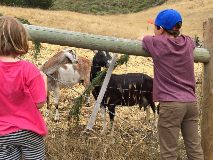 Spring Break Camps in Marin