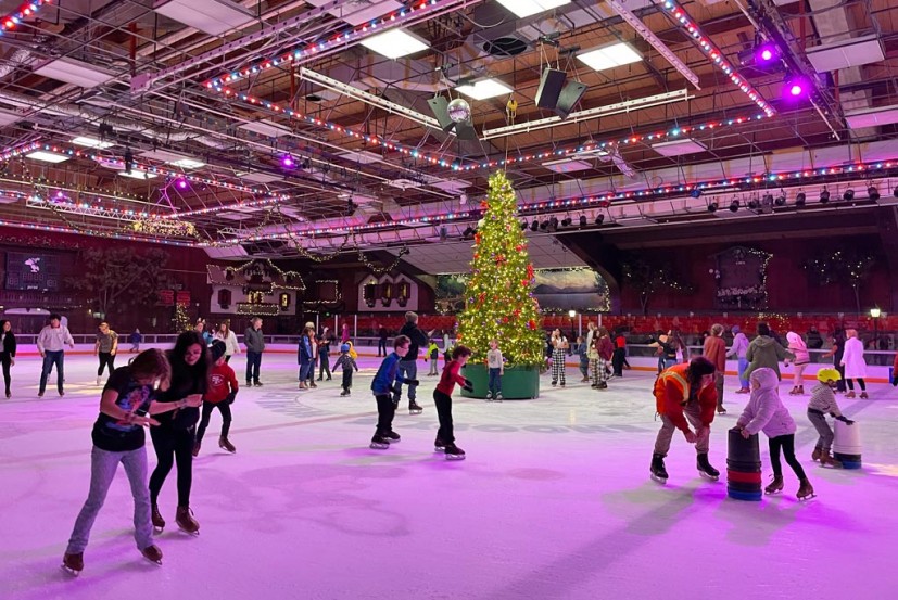 Snoopy's Home Ice Santa Rosa