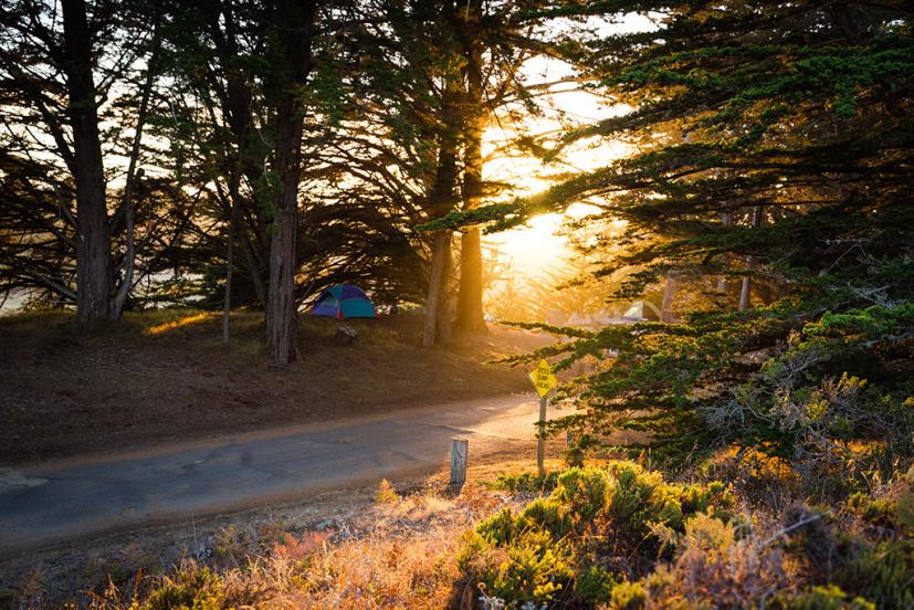 Sonoma Coast State Parks