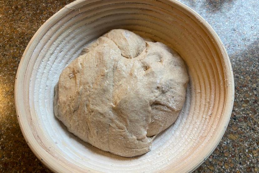 Sourdough dough proofing