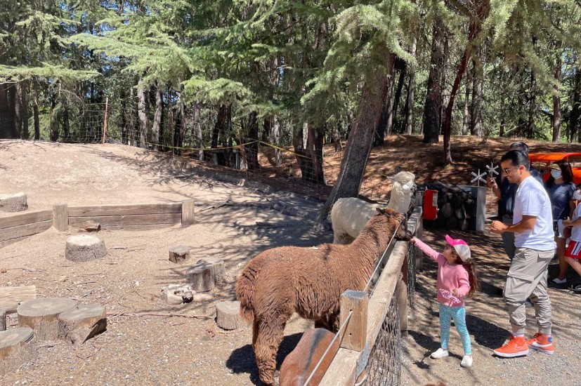 15 Fun Things to Do This Spring with Kids 5 and Under, Bay Area