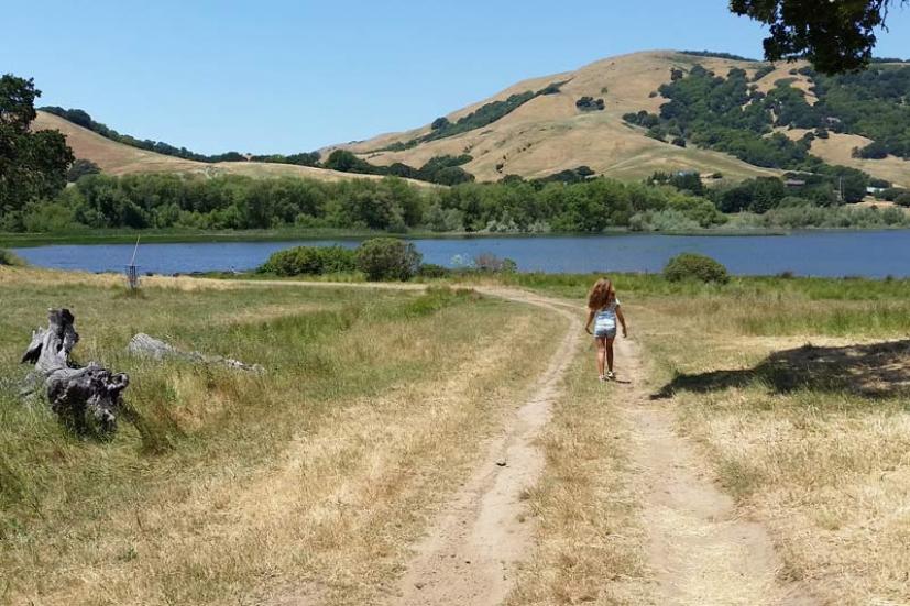 Stafford Lake Park Novato