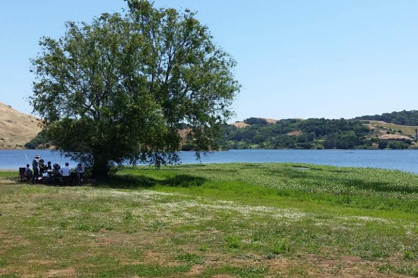 Stafford Lake Park Novato