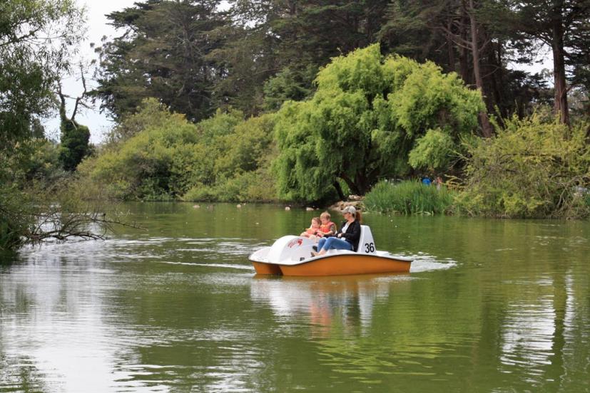 Stow Lake pedal boat in Golden Gate Park