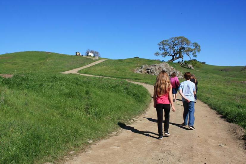 Tara Firma Farms Petaluma