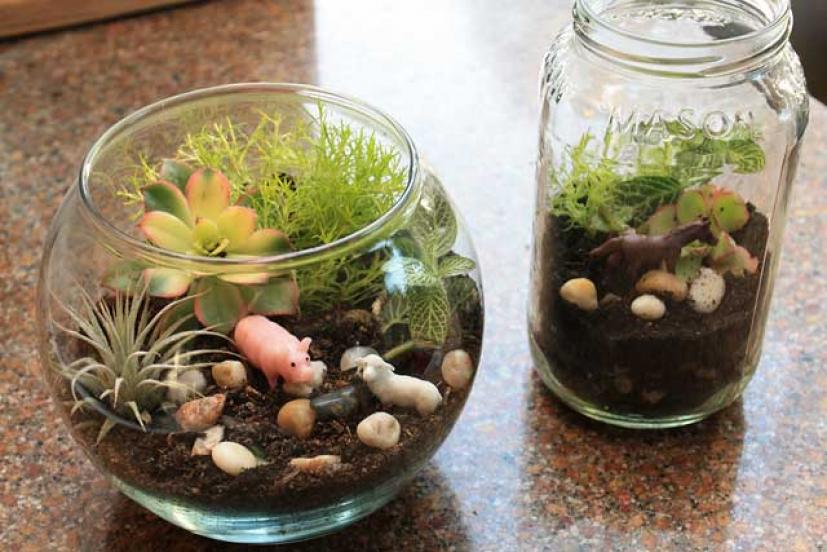 Tutorial: Spice Jar Mini Terrariums